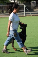 /album/trabajo-deportivo/eria-pro-en-fuss-jpg/